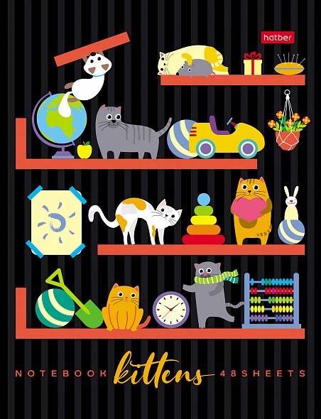 Notebook On the Bookshelves (Assorted)