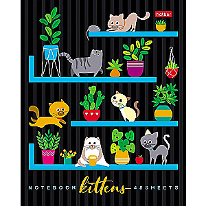 Notebook On the Bookshelves (Assorted)