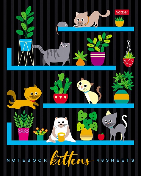Notebook On the Bookshelves (Assorted)