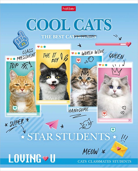 Notebook Cool Cats (assorted)