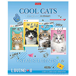 Notebook Cool Cats (assorted)