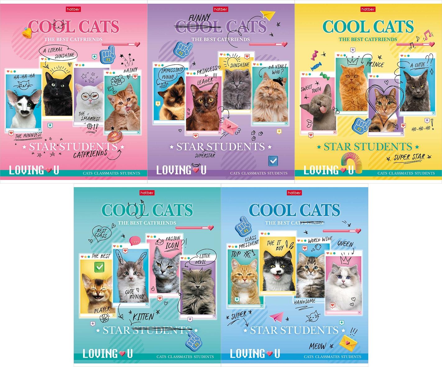 Notebook Cool Cats (assorted)
