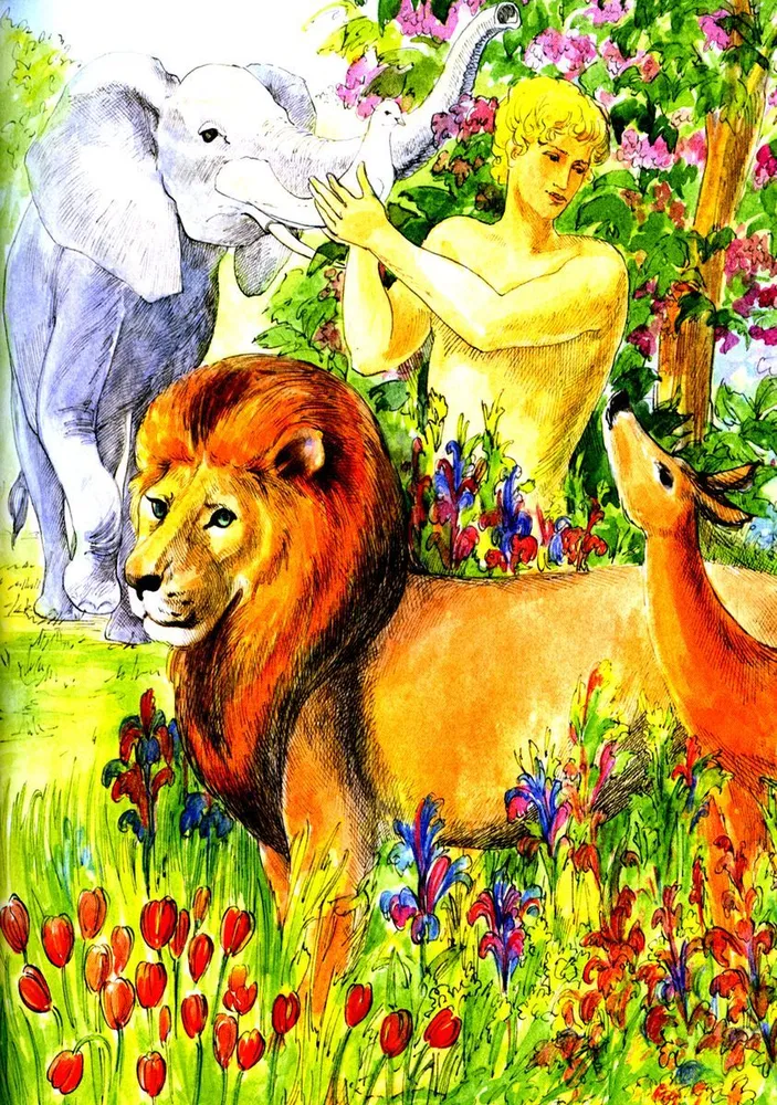 The Bible and the Law of God in a Brief Summary for Family Reading