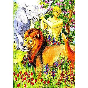 The Bible and the Law of God in a Brief Summary for Family Reading