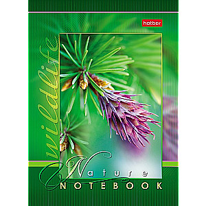 Notebook Live Moments
