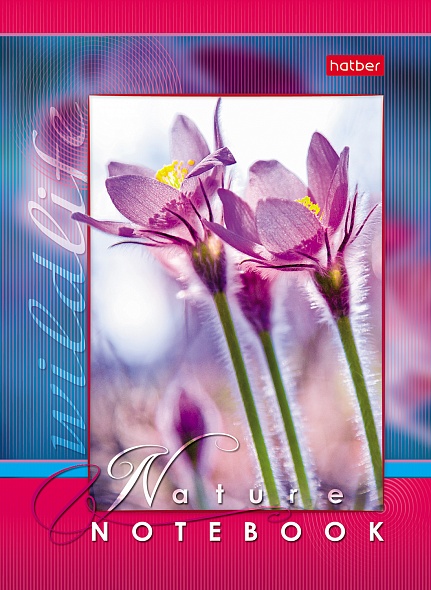 Notebook Live Moments