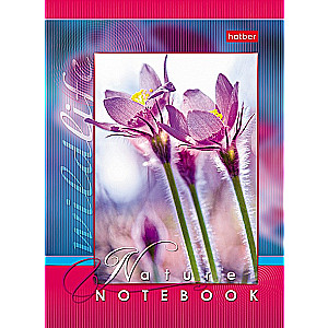 Notebook Live Moments