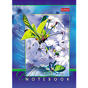 Notebook Live Moments