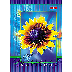 Notebook Live Moments