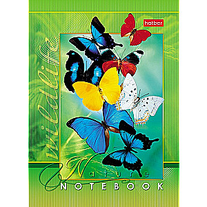 Notebook Live Moments