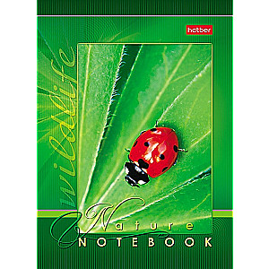 Notebook Live Moments