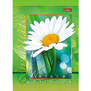 Notebook Live Moments
