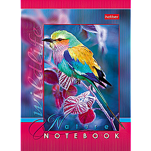 Notebook Live Moments