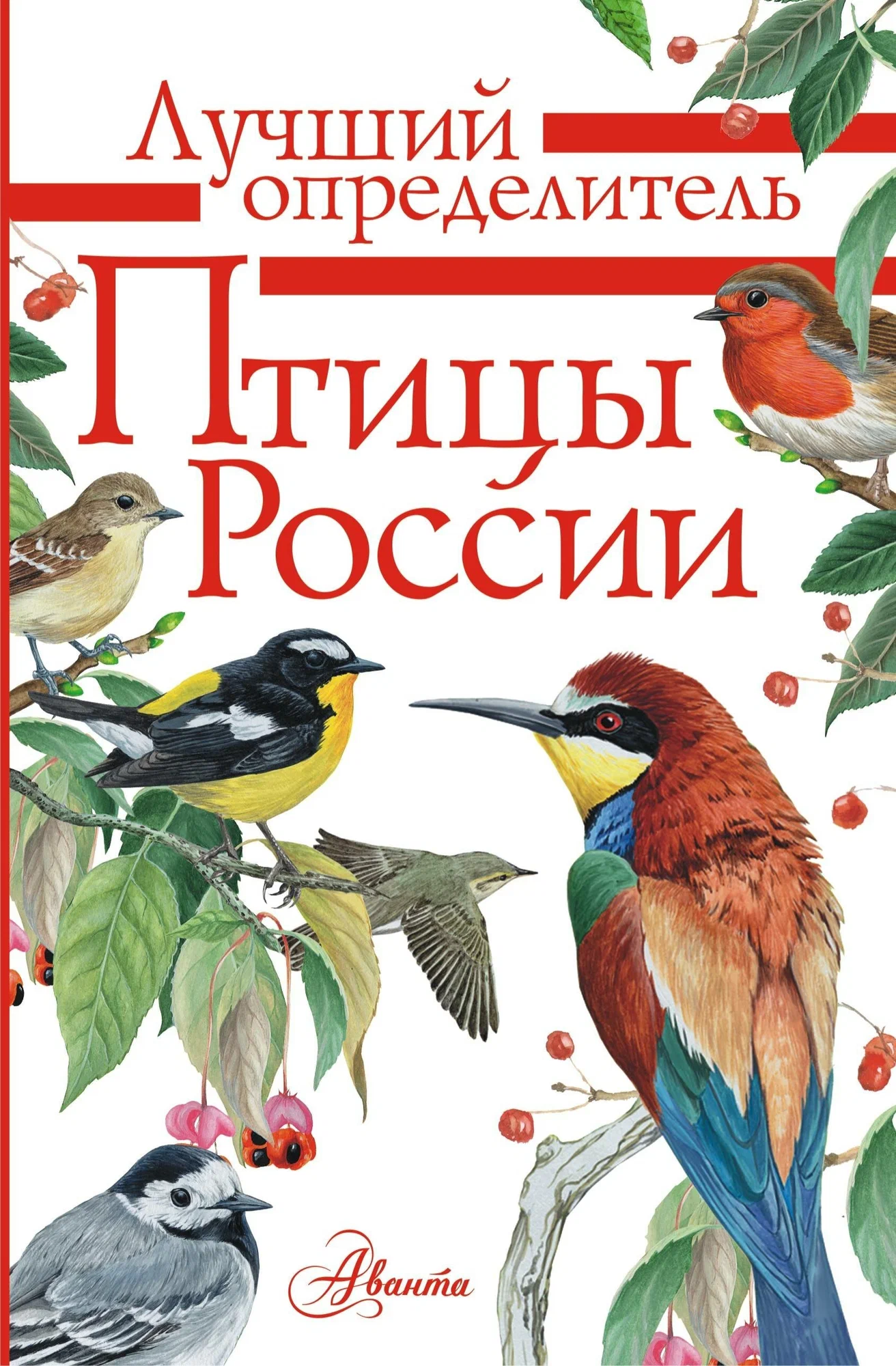 Birds of Russia