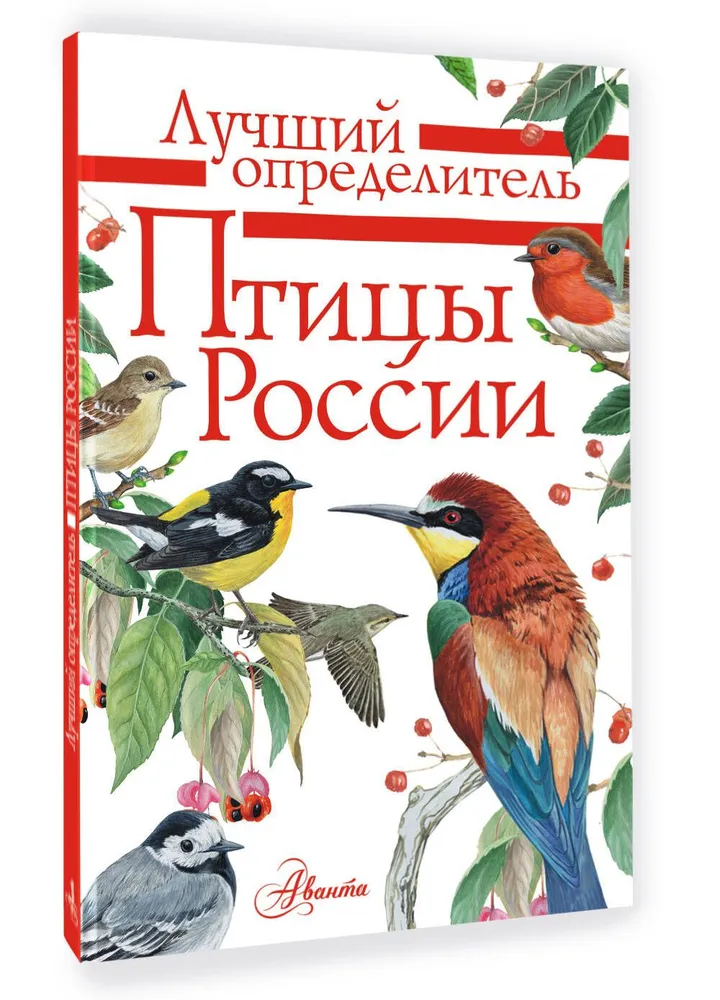 Birds of Russia