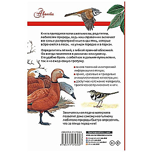 Birds of Russia