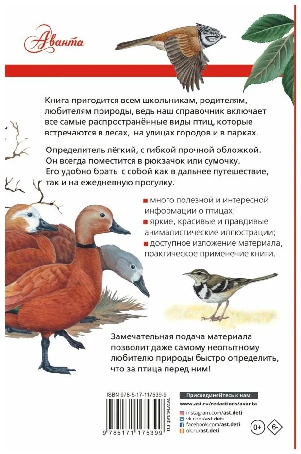 Birds of Russia