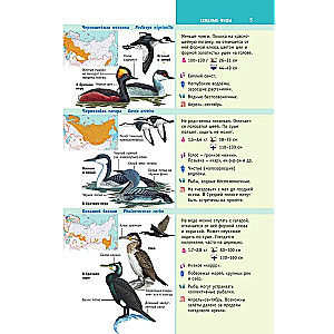 Birds of Russia