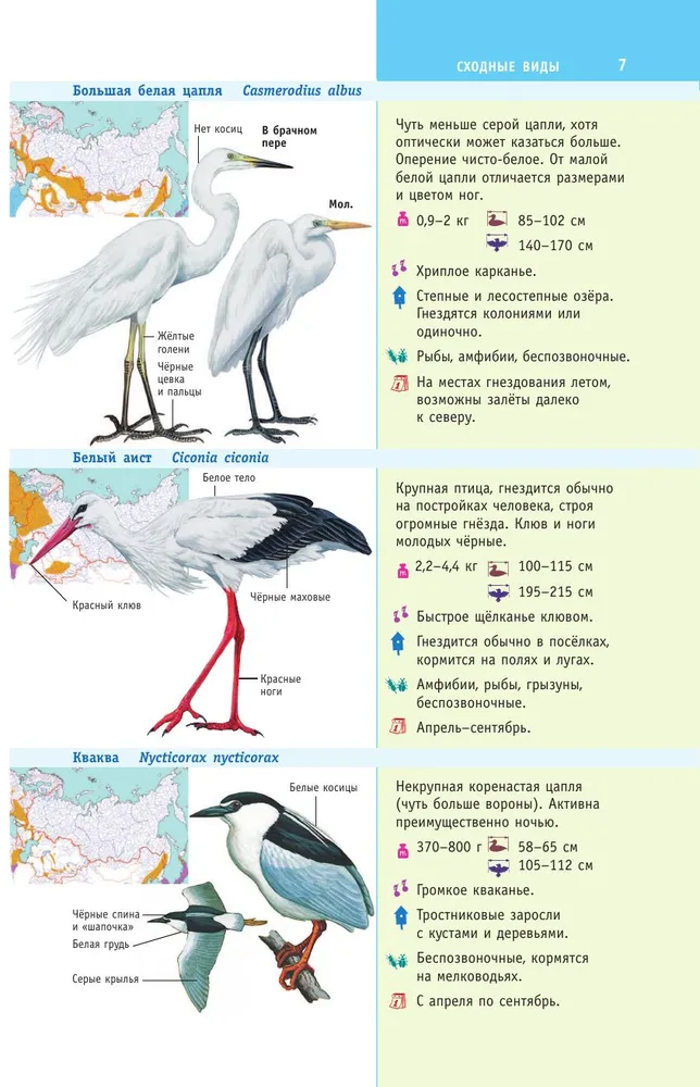 Birds of Russia