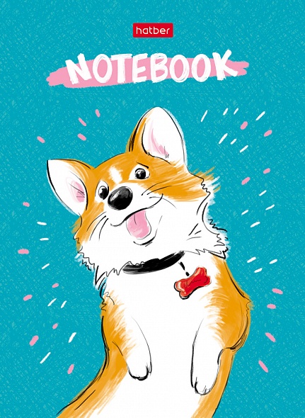 A6 Notebook Assorted