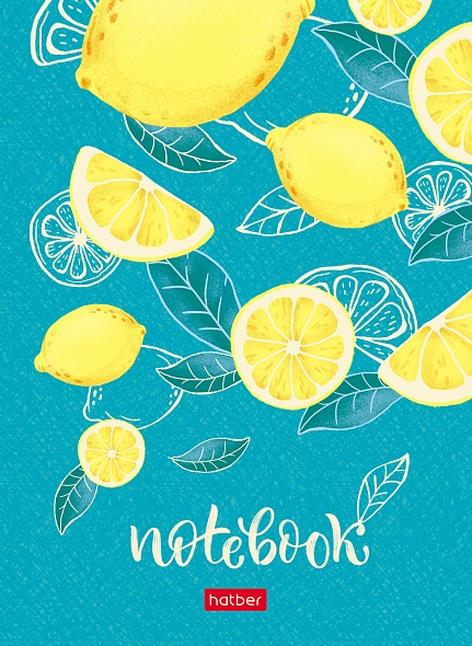 A6 Notebook Assorted