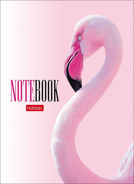 A6 Notebook Assorted