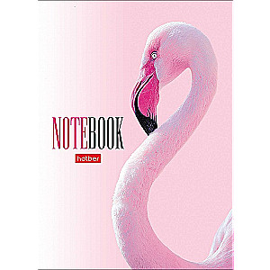 A6 Notebook Assorted
