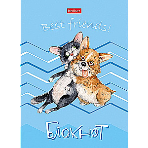 A6 Notebook Assorted