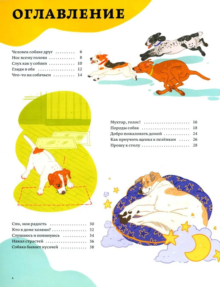 Secrets of dogs. How to understand a dog and become its friend