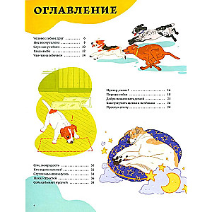 Secrets of dogs. How to understand a dog and become its friend