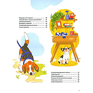 Secrets of dogs. How to understand a dog and become its friend