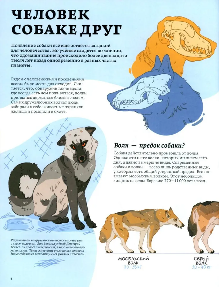 Secrets of dogs. How to understand a dog and become its friend