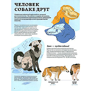 Secrets of dogs. How to understand a dog and become its friend
