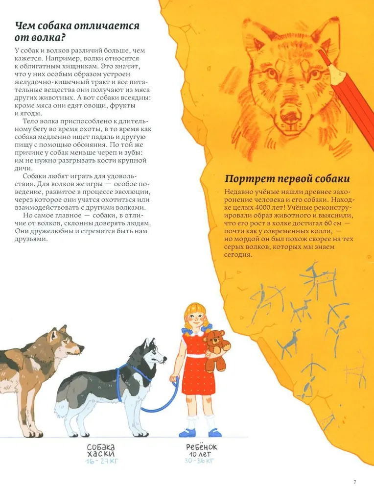Secrets of dogs. How to understand a dog and become its friend