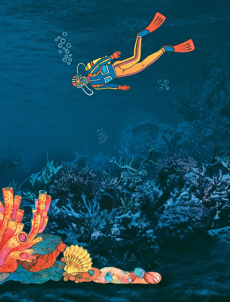 Secrets of the underwater world