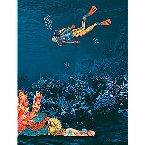 Secrets of the underwater world