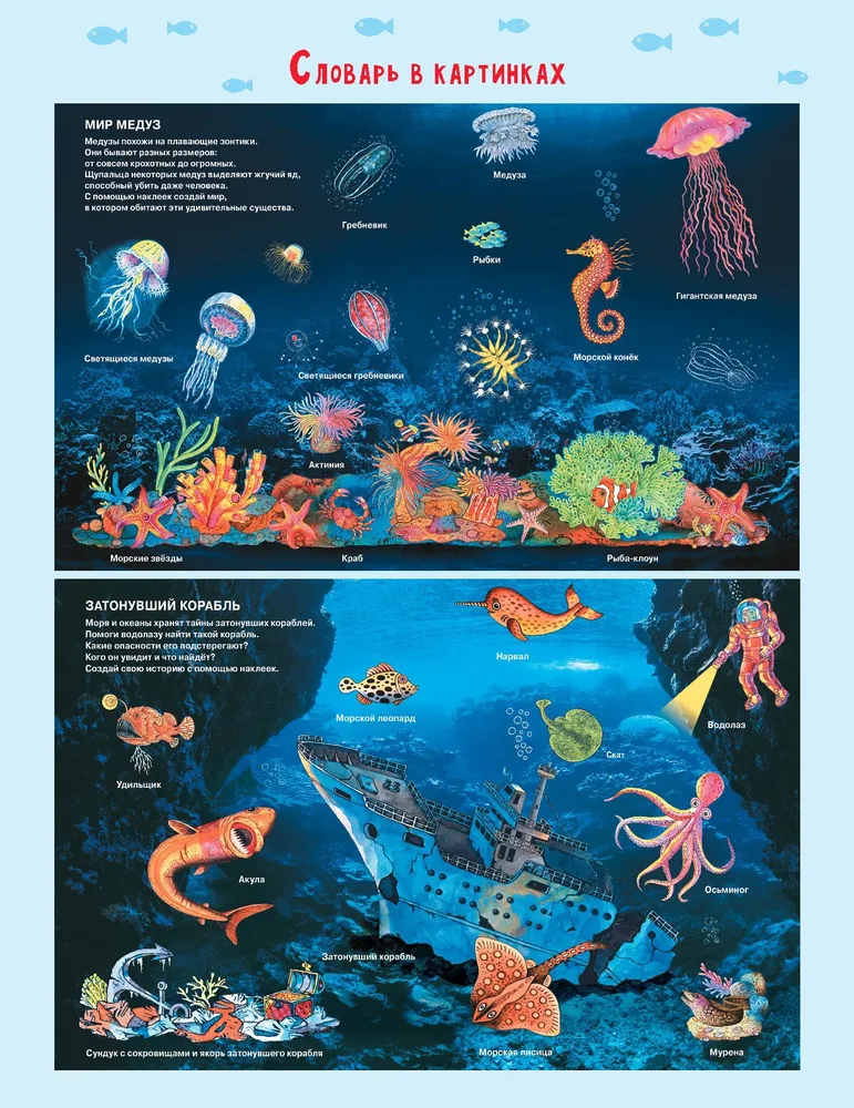 Secrets of the underwater world