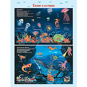 Secrets of the underwater world
