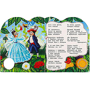 Fly-Tsokotukha. Musical Book