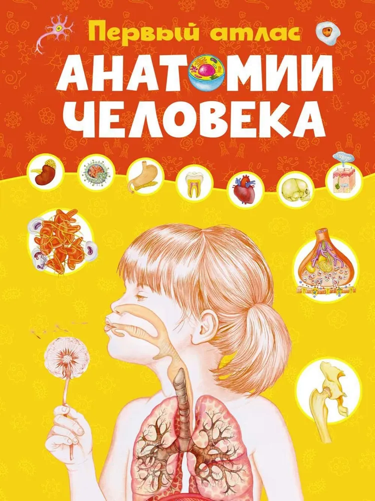 The first atlas of human anatomy