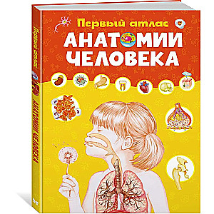 Pirmasis žmogaus anatomijos atlasas