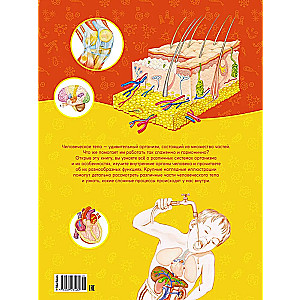 The first atlas of human anatomy