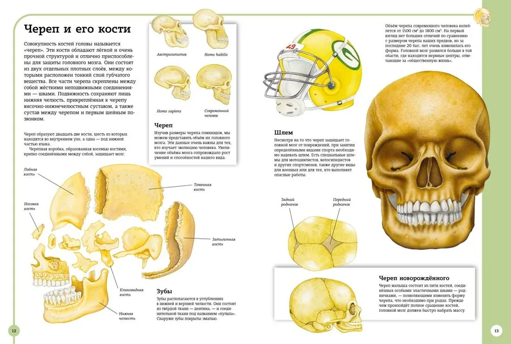 The first atlas of human anatomy