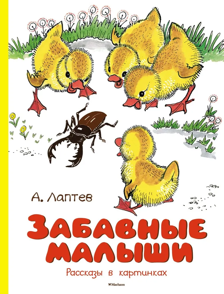 Funny kids. Stories in pictures