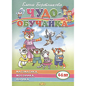 Mathematics, motor skills, logic 4-6 years