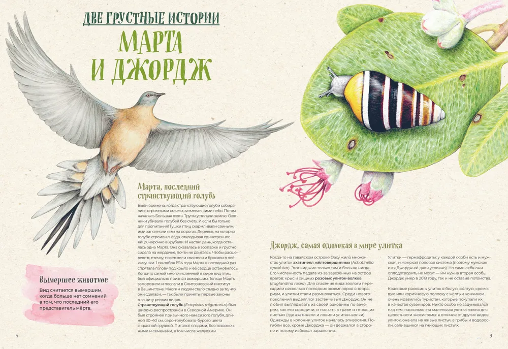 On the verge of extinction. Fauna of the Earth