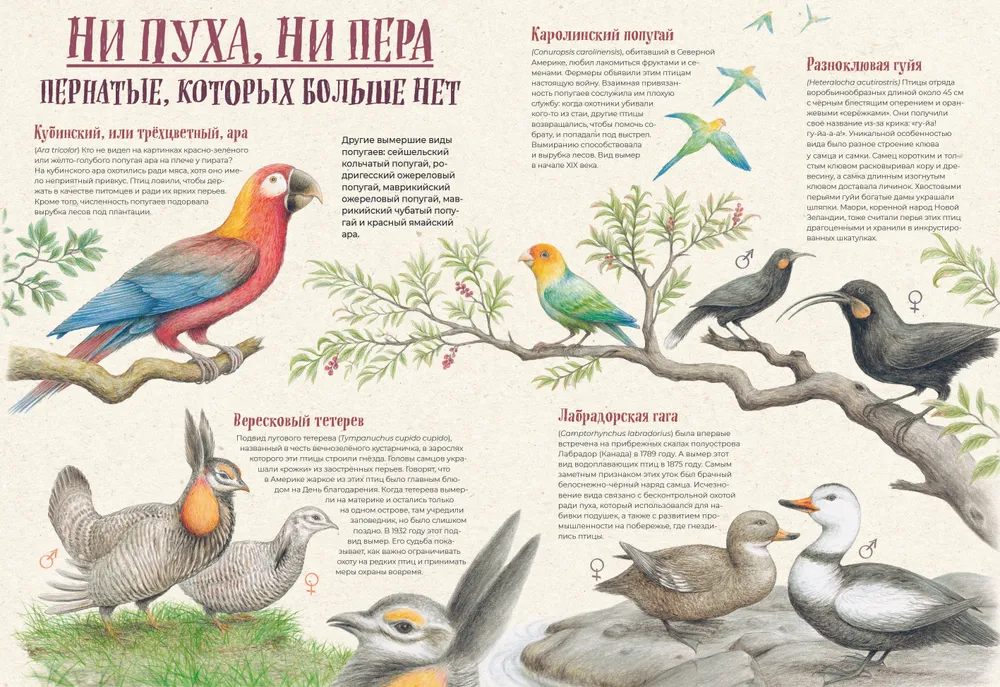 On the verge of extinction. Fauna of the Earth