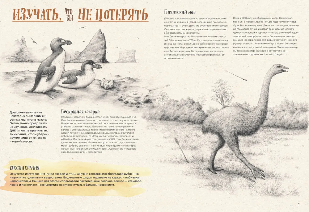 On the verge of extinction. Fauna of the Earth