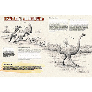 On the verge of extinction. Fauna of the Earth