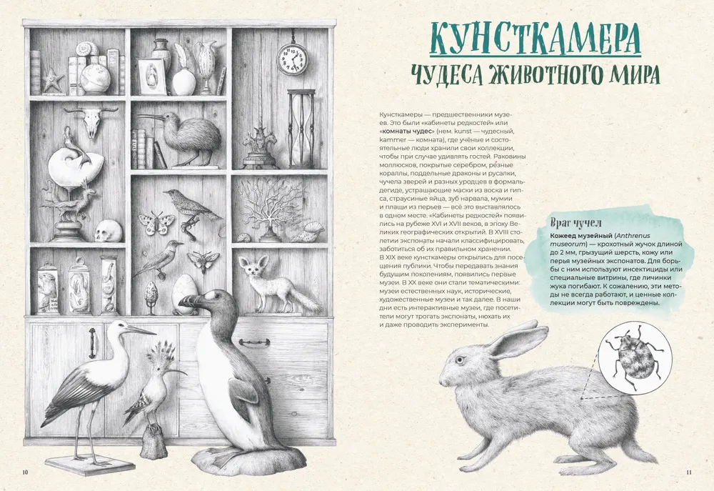 On the verge of extinction. Fauna of the Earth